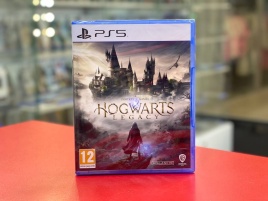 PS5 Hogwarts Legacy PPSA-01603 (Русские субтитры)