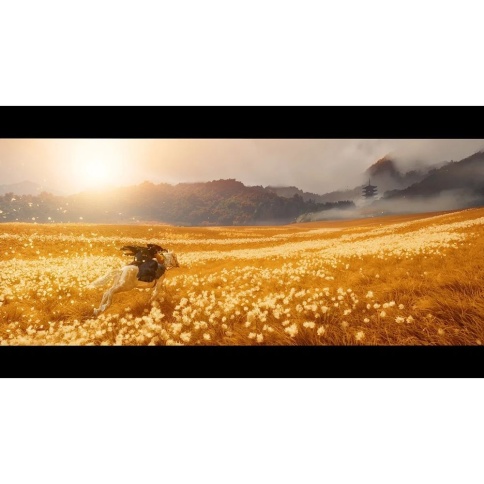 PS5 Ghost of Yotei (Новинка!) (Б/У, Полностью на русском языке, PPSA-30144) фото 6