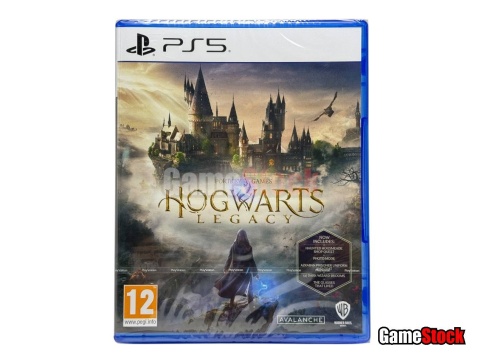 PS5 Hogwarts Legacy PPSA-01603 (Русские субтитры) фото 2